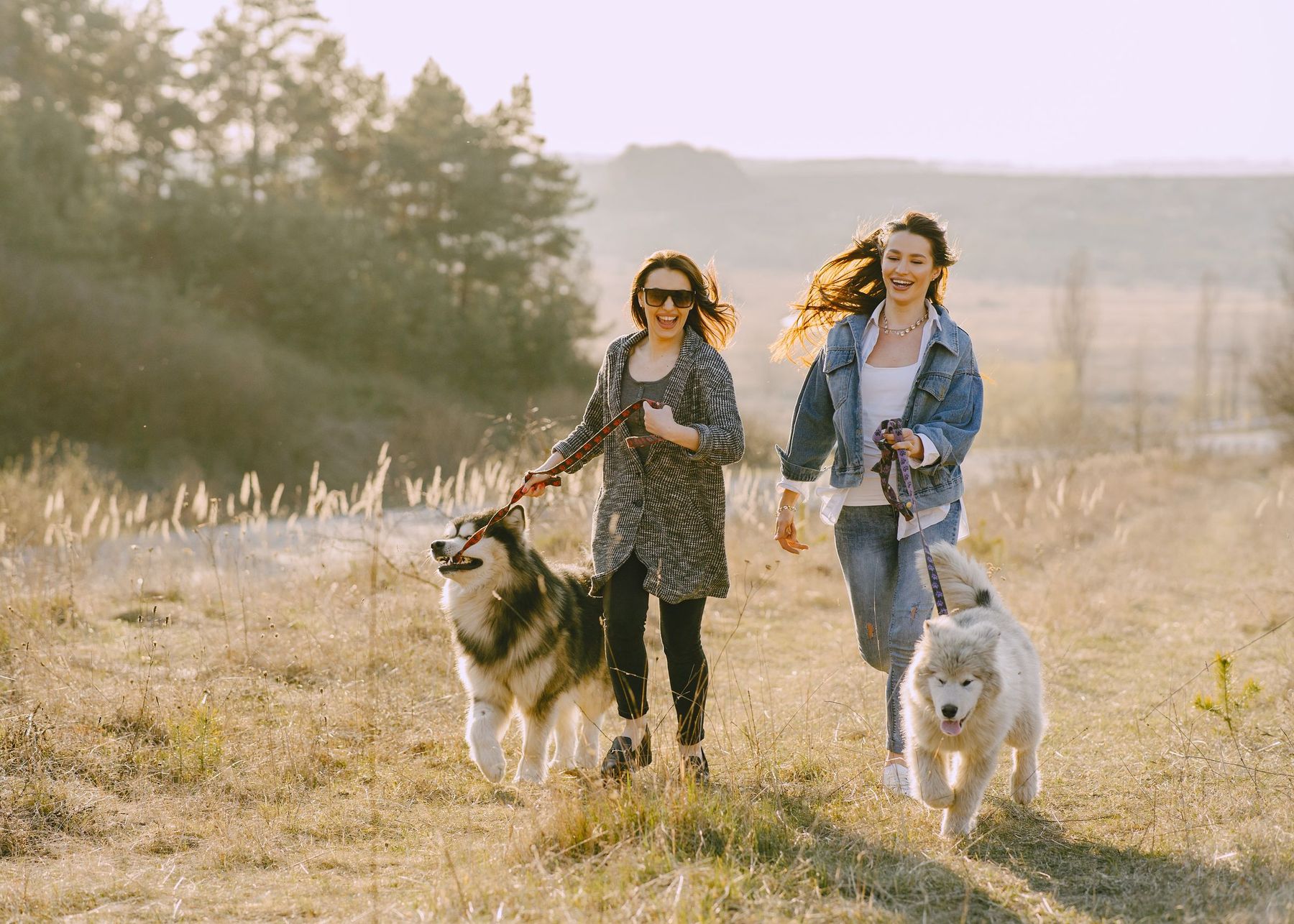 Two women laugh as they walk their two dogs through a sunny field.