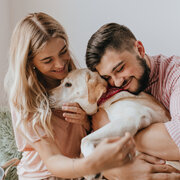 in-home dog boarding