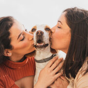 home-based dog boarding