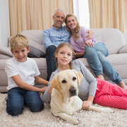 home-like dog boarding