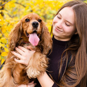 home-based dog boarding