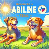 dog boarding abilene