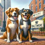 dog boarding Baltimore