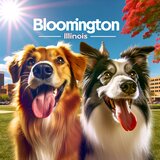 dog boarding bloomington