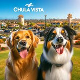 dog boarding Chula Vista WoofConnect