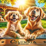 dog boarding columbia