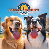 WoofConnect dog boarding Corpus Christi