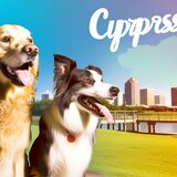 dog boarding Cypress