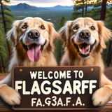 dog boarding Flagstaff