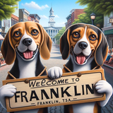 dog boarding Franklin