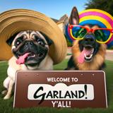 dog boarding Garland