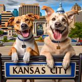dog boarding Kansas City