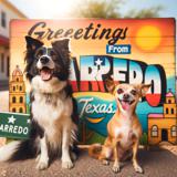 dog boarding Laredo