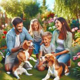 dog boarding Mesa Woofconnect