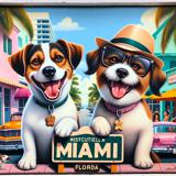 dog boarding Miami