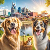 dog boarding Nashville WoofConnect
