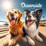 dog boarding oceanside