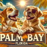 dog boarding Palm Bay