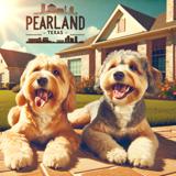 dog boarding pearland