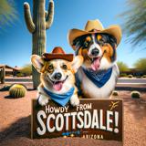 dog boarding Scottsdale