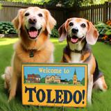 dog boarding Toledo