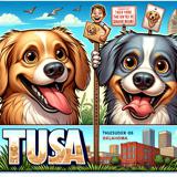 dog boarding tulsa