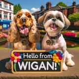 dog boarding Wigan