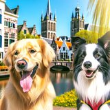 WoofConnect hondenopvang Gouda